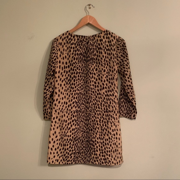 J Crew Factory Leopard Print Shift Dress - Picture 7 of 12